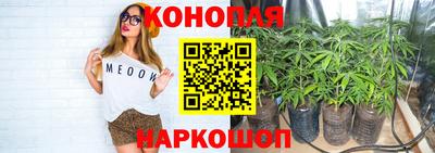 спайс Кунгур