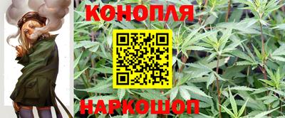 спайс Кунгур