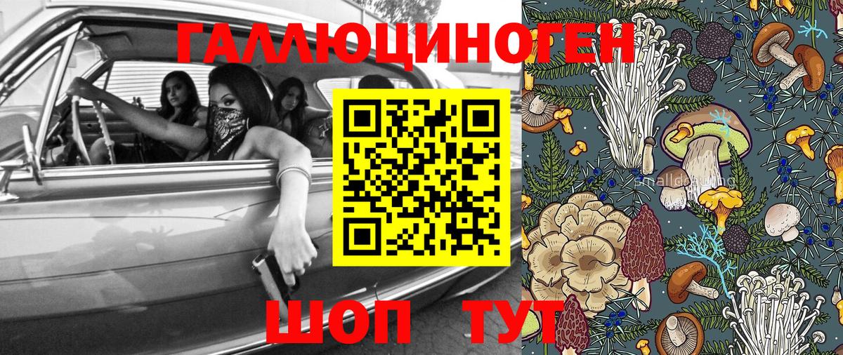 Псилоцибиновые грибы Psilocybine cubensis  Вход с VPN  Гудермес  Галлюциногенные грибы Magic Shrooms 